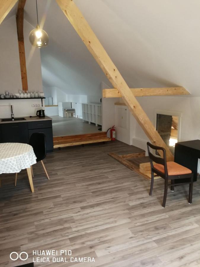 Mestansky Dum Rozmberk 31 Apartment Rožmberk nad Vltavou Екстериор снимка
