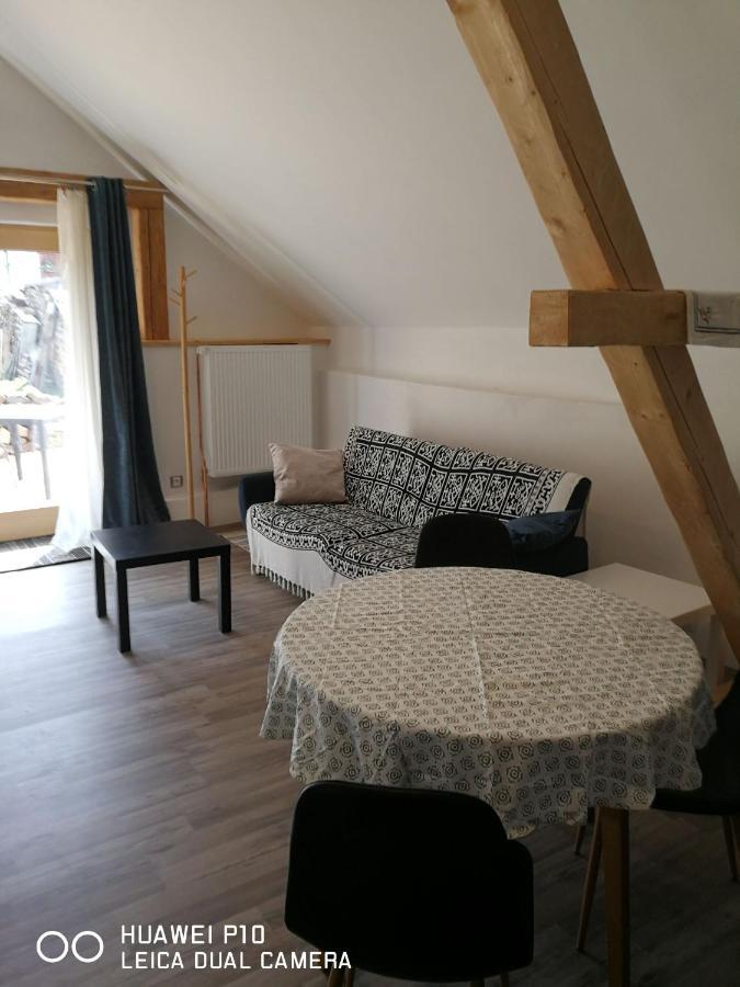 Mestansky Dum Rozmberk 31 Apartment Rožmberk nad Vltavou Екстериор снимка